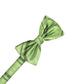 Striped Satin Kids Bow Tie-30