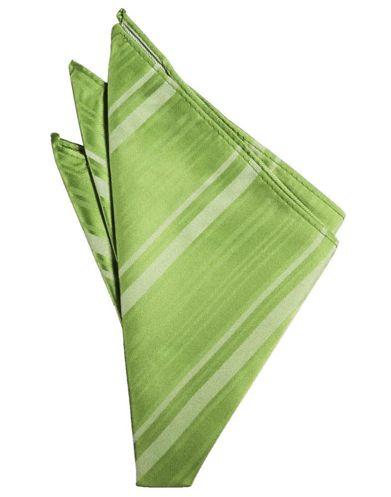 Striped Satin Pocket Square-12