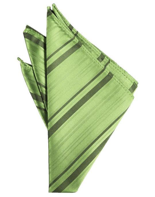 Striped Satin Pocket Square-56