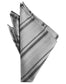 Striped Satin Pocket Square-59