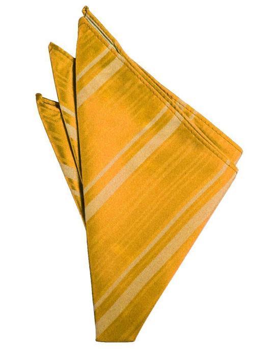 Striped Satin Pocket Square-61