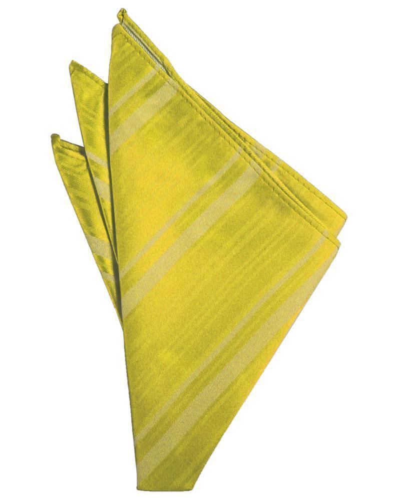 Striped Satin Pocket Square-66