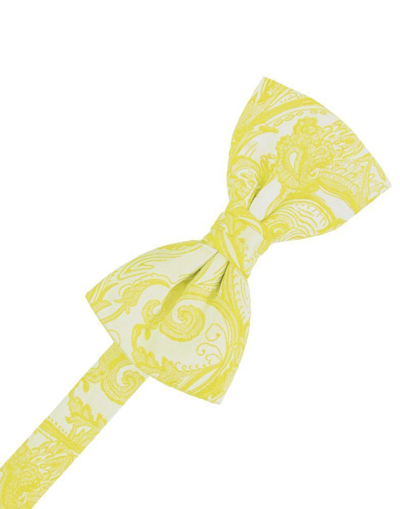 Tapestry Bow Tie Pre-Tied-62