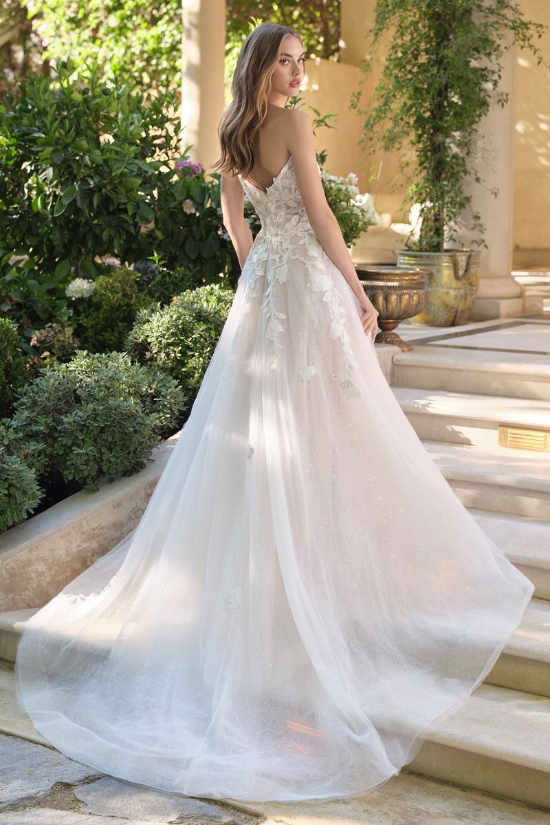 Lace Wedding Ball Gown-1