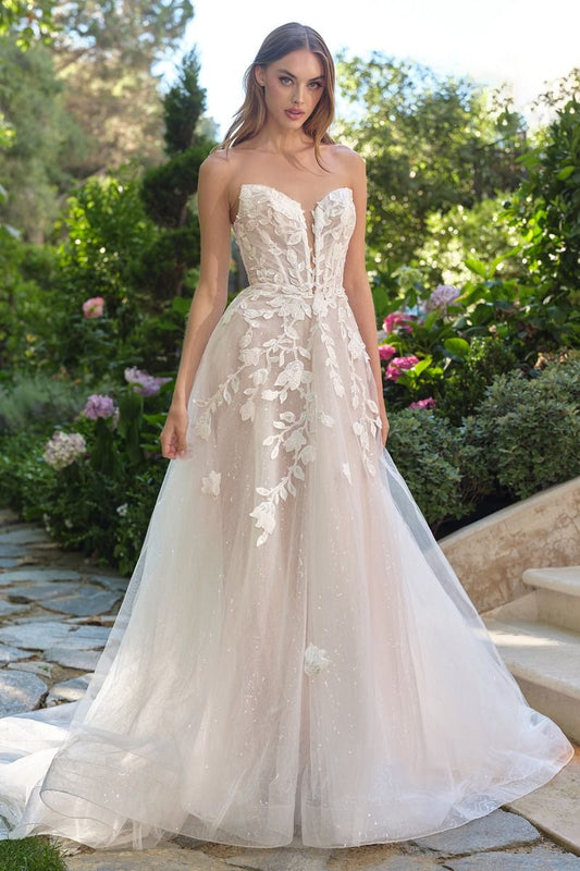 Lace Wedding Ball Gown-0