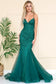 Mermaid Tulle Skirt Embroidered Lace Long Prom Dress ACSU066-10