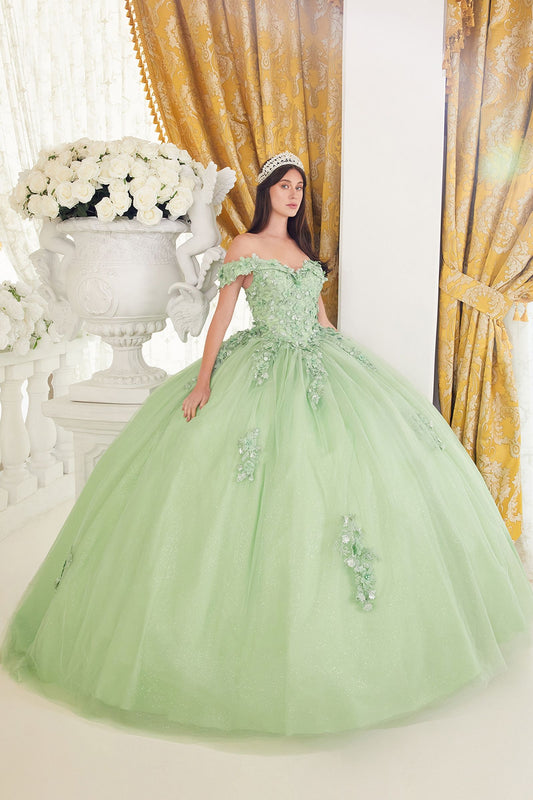 Lace Off The Shoulder Layered Tulle Ball Gown-0