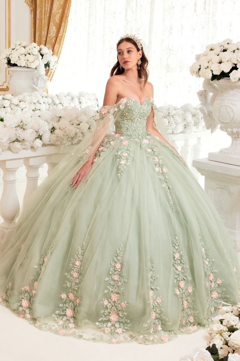 Sage Ball Gown With Blush Floral Details-0