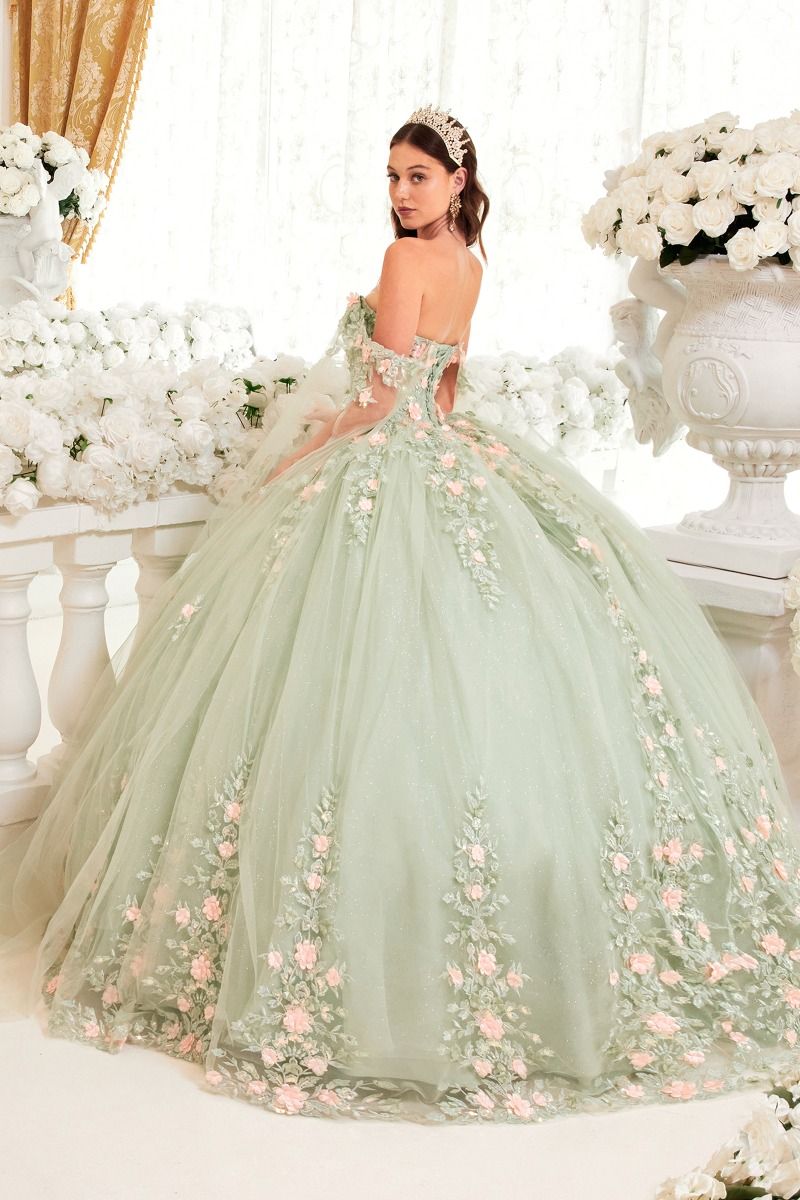 Sage Ball Gown With Blush Floral Details-1