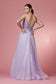 Embellished Glitter Illusion V-Neck Long Prom Dress NXT1033-3