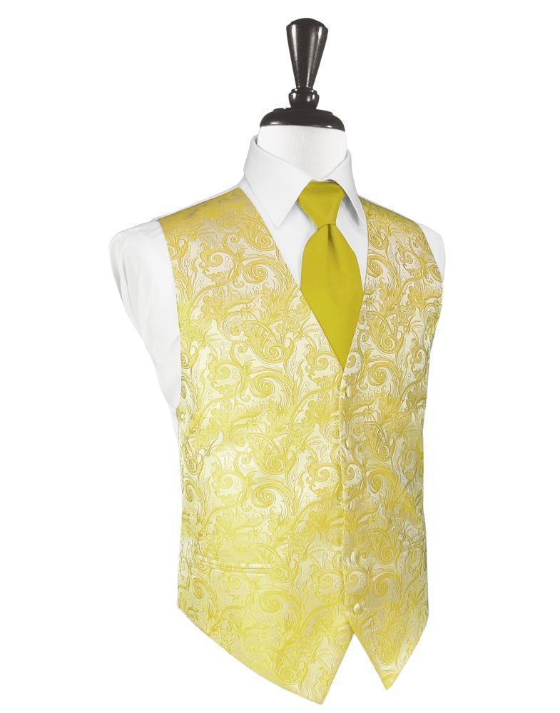 Tapestry Tuxedo Vest 11-2