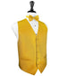 Venetian Tuxedo Vest 2-4