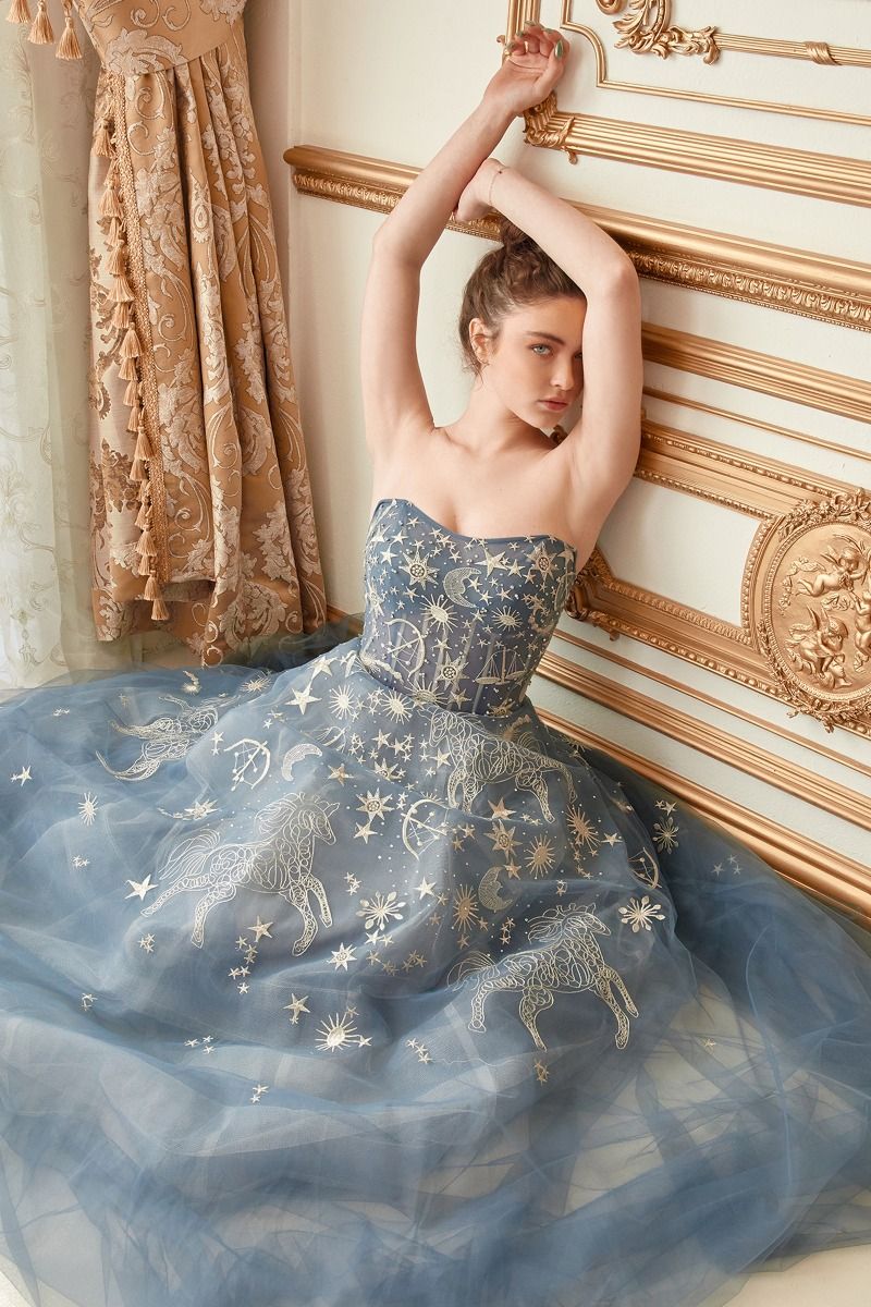 Constellation Selene Tulle Prom & Ball gown Straight Across Mid Open Back Celestial Appliqué Bodice A-line Vintage Luxury Dress CDA0890-0
