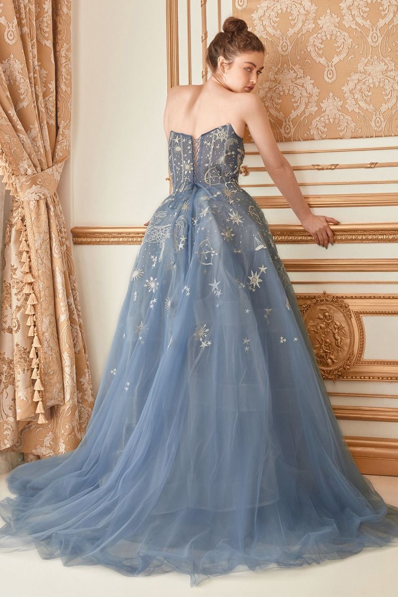 Constellation Selene Tulle Prom & Ball gown Straight Across Mid Open Back Celestial Appliqué Bodice A-line Vintage Luxury Dress CDA0890-1