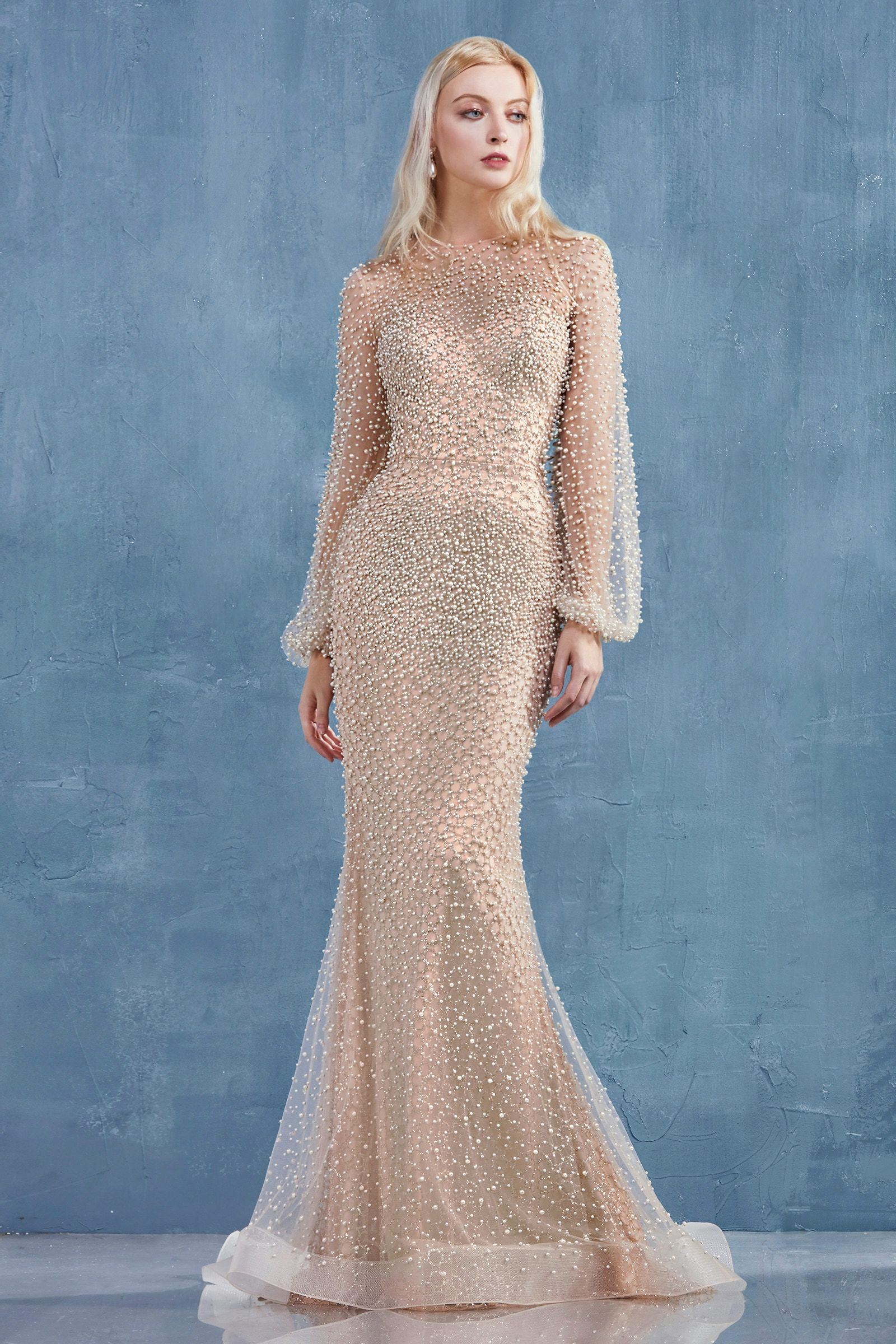 Iris Gown With Long Sleeves-5