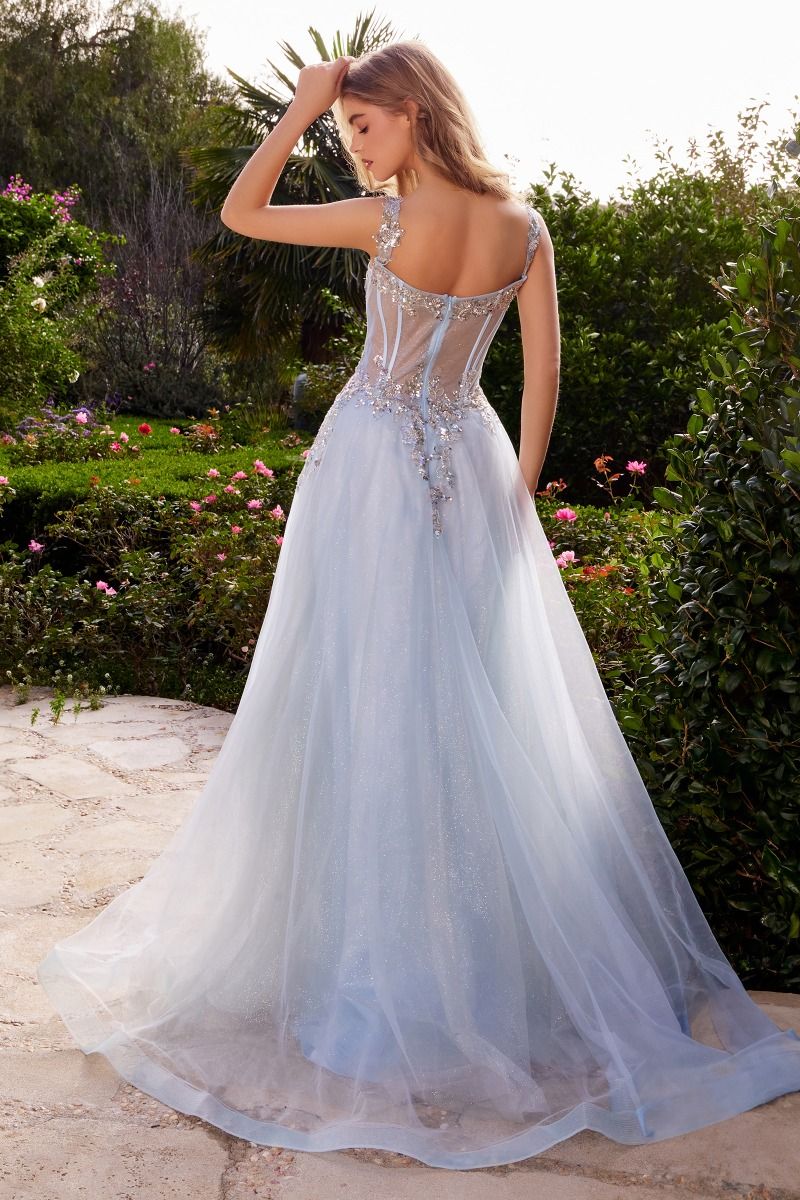 Embellished A-Line Tulle Ball Gown-1