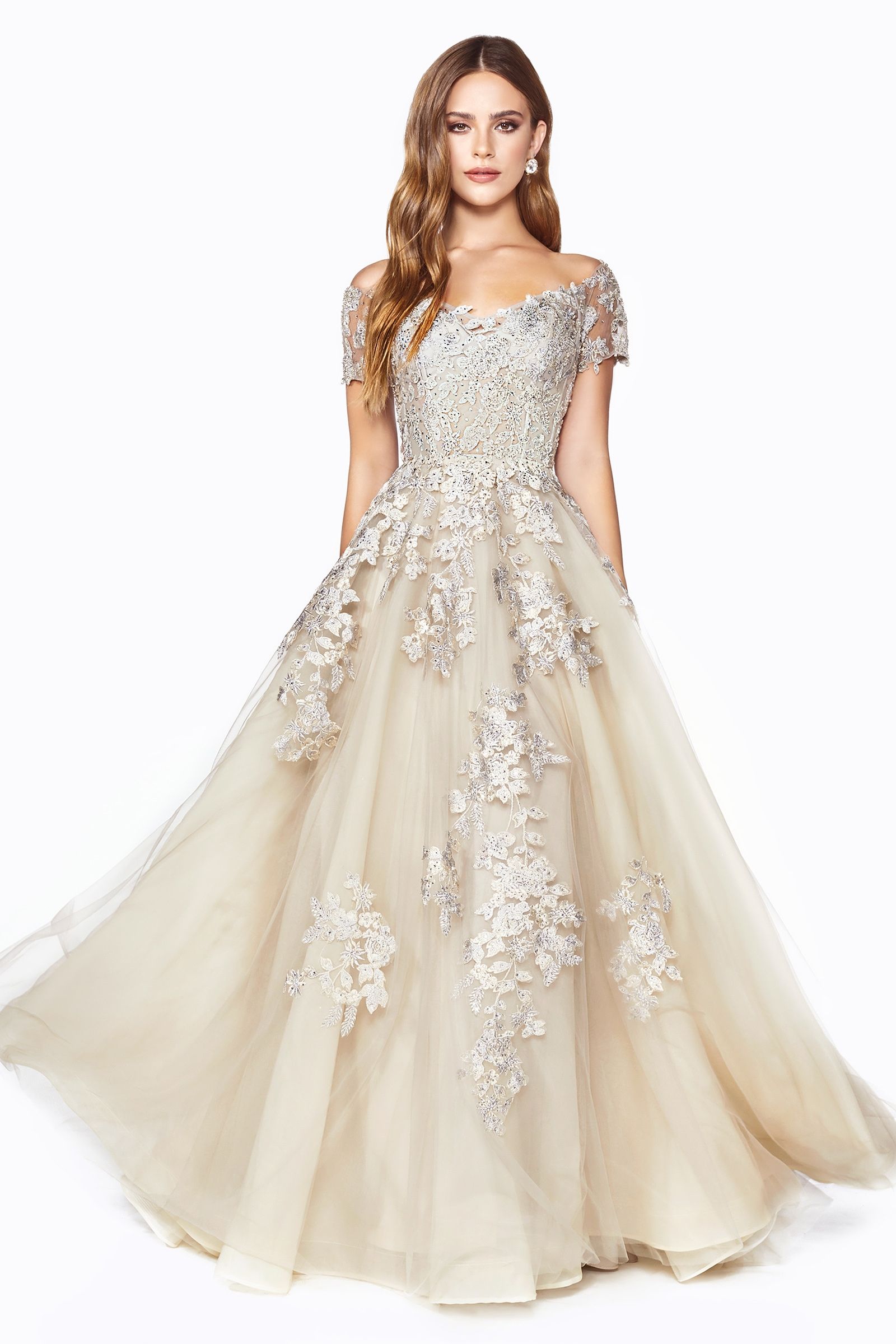 A-Line Dress With Embellished Lace Applique And Corset Lace Up Back.-0