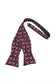 Enchantment Bow Tie Self Tie-5