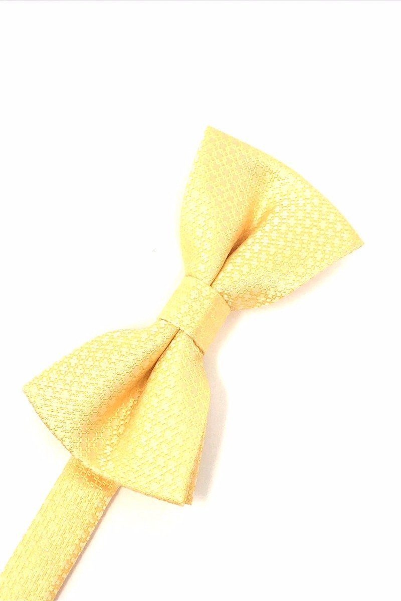 Regal Bow Tie-4
