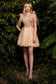 A-Line Short Tulle Dress-2