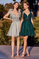 A-Line Short Tulle Dress-1