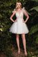 A-Line Short Tulle Dress-4