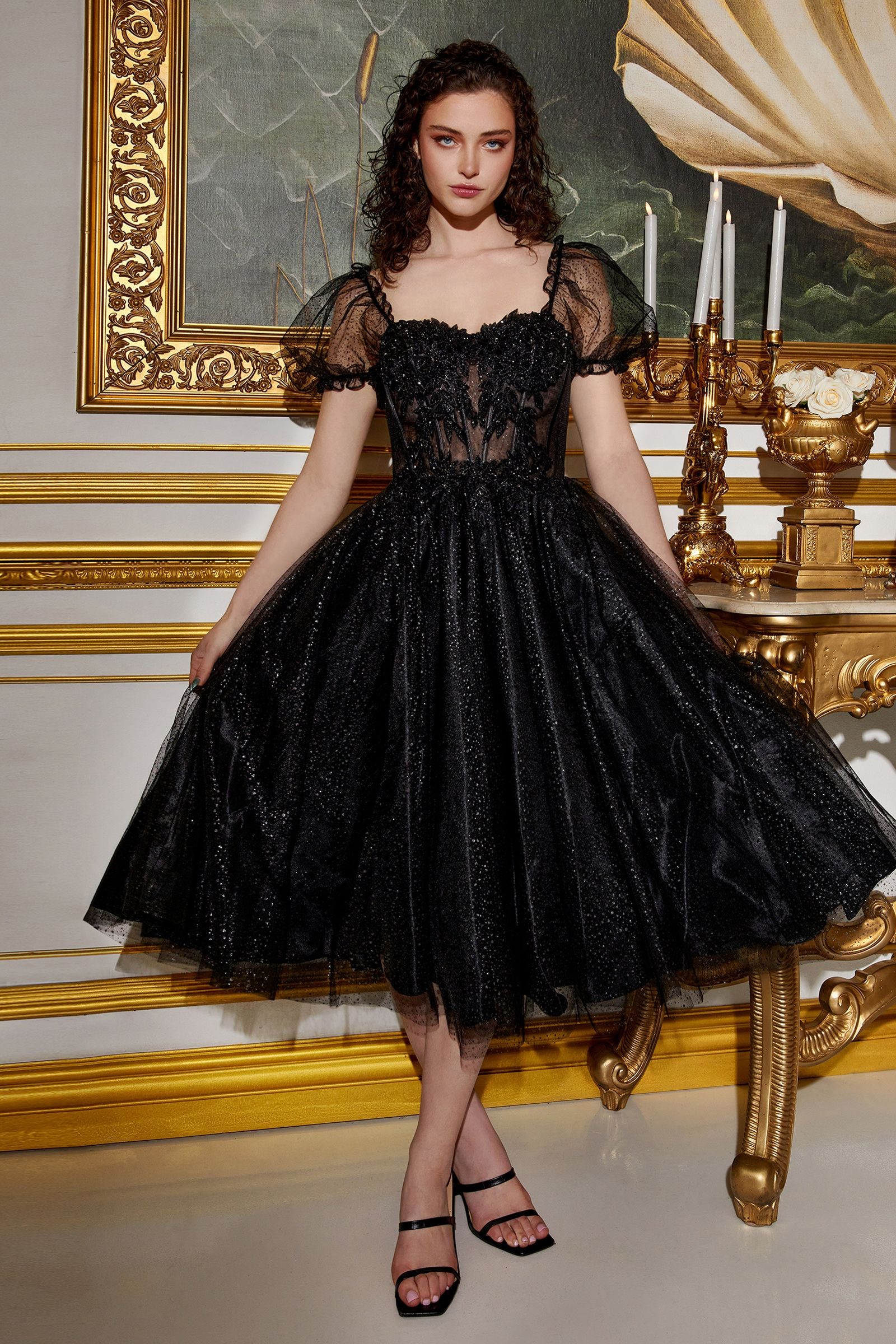 Tea Length Layered Tulle Dress-5