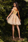 Short Lace A-Line Off The Shoulder Dress-5