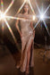STRAPLESS SEQUIN GOWN WITH REMOVABLE SASH CDCD0218-5