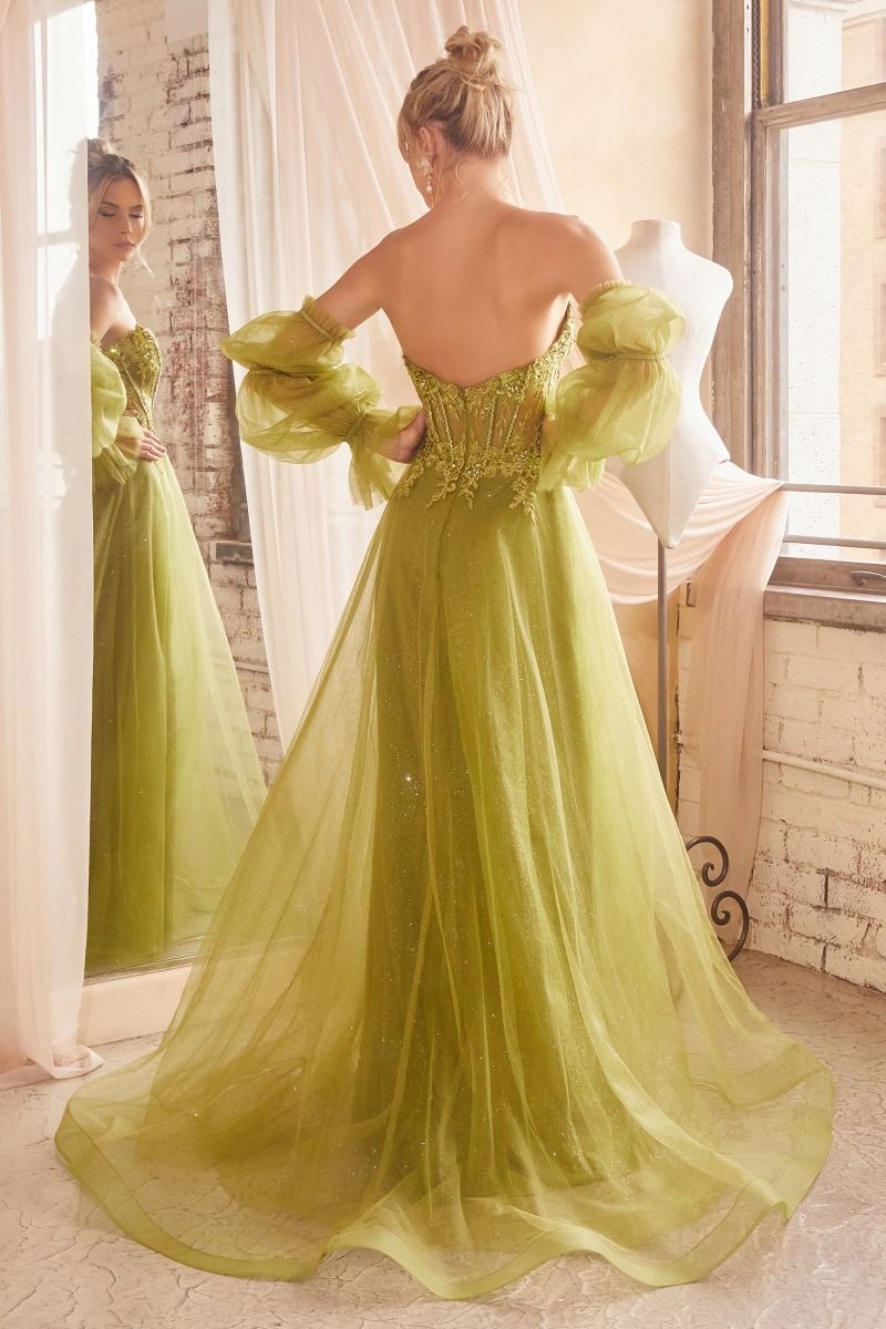 Strapless Ball Gown With Removable Sleeves-4