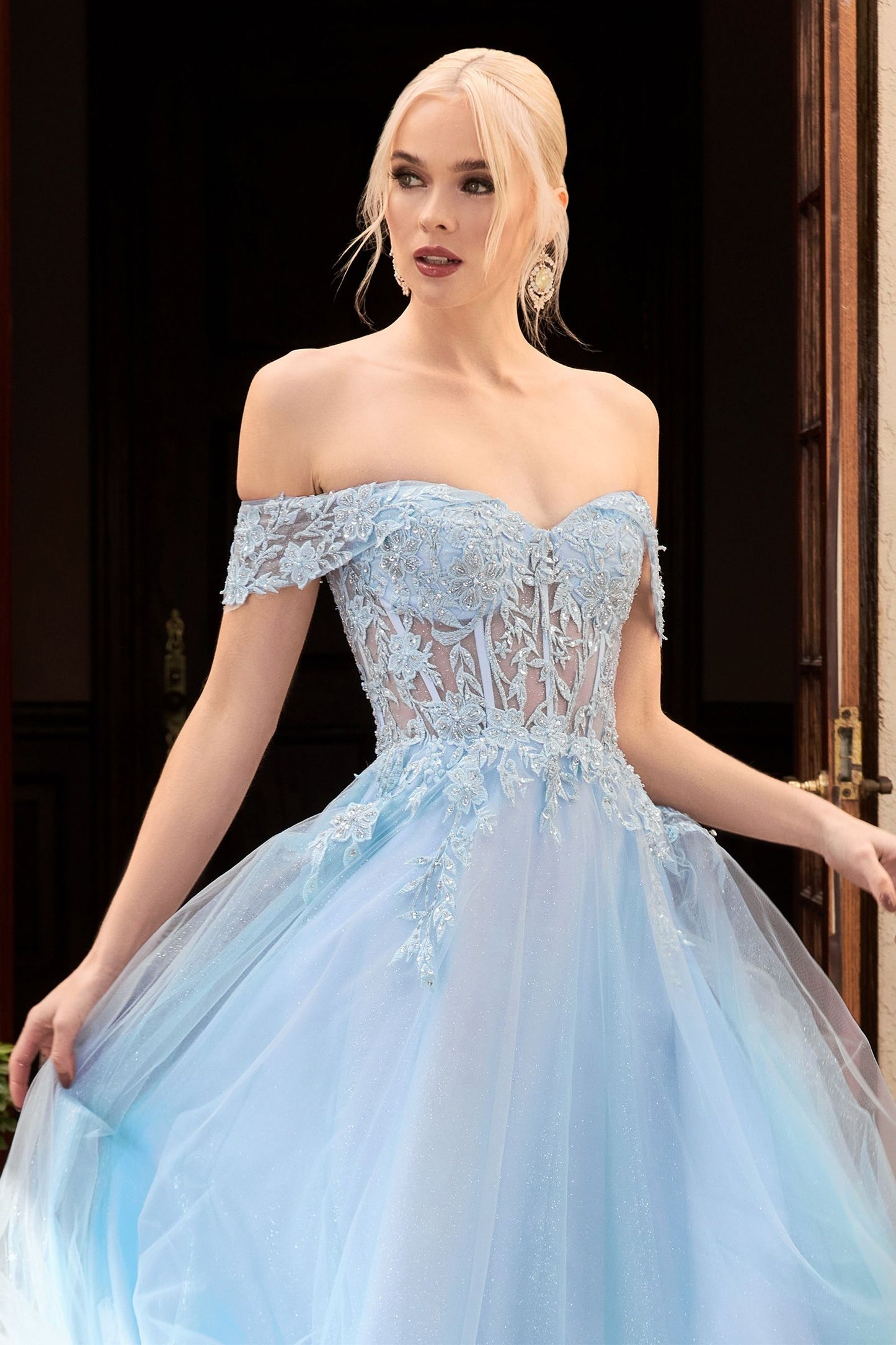 Lace Off The Shoulder A-Line Dress-6