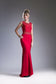 Fitted Gown With Lace Bodice-7