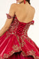 Embroidered Mesh Strap Satin Quinceanera Dress w/ Mesh Tail - Mask Not Included-7