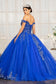 Embroider Embellished Sweetheart Glitter Mesh Quinceanera Dress-5