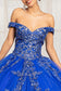 Embroider Embellished Sweetheart Glitter Mesh Quinceanera Dress-6