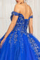 Embroider Embellished Sweetheart Glitter Mesh Quinceanera Dress-7