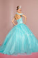 Embroidered Bodice Glitter Mesh Quinceanera Dress-1