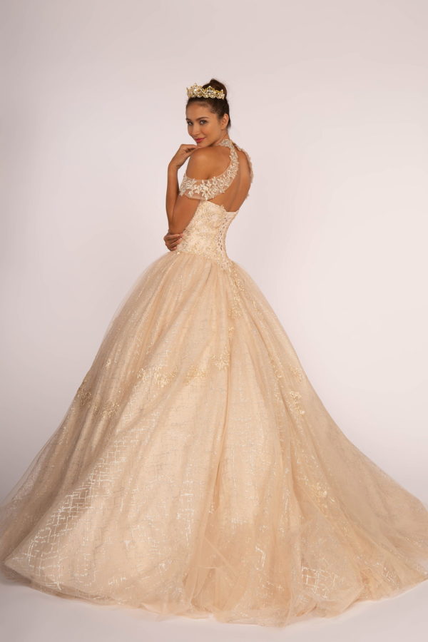 Embroidered Bodice Glitter Mesh Quinceanera Dress-5