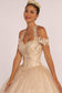 Embroidered Bodice Glitter Mesh Quinceanera Dress-6