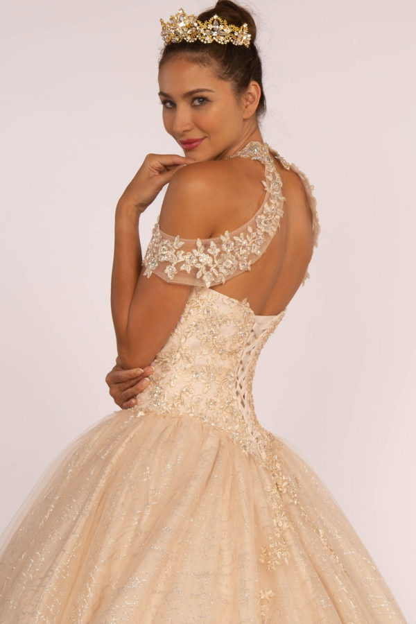 Embroidered Bodice Glitter Mesh Quinceanera Dress-7