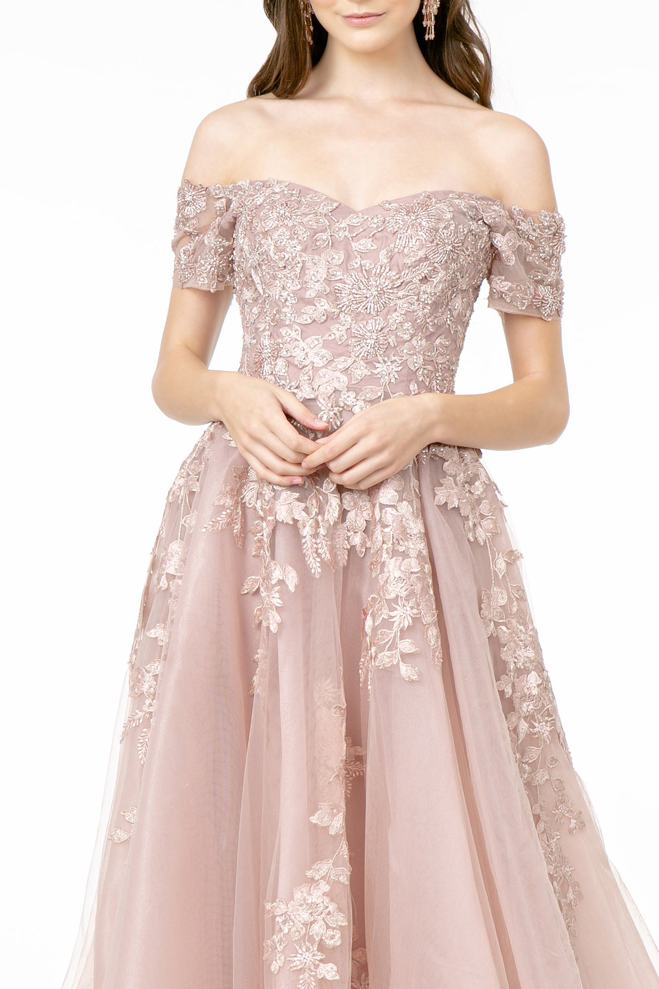 Embroidered Mesh A-Line w/ V-Back Long Prom Dress GLGL2885-6