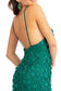 3D Floral Applique V-Neck Spaghetti Strap Mesh Prom Dress-7