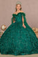 Mesh Quinceanera Dress w/ Side Mesh Drape and Detachable Feather Embellishment-0