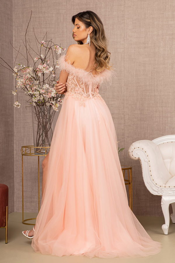 Embroidery Sheer Front Mesh A-line Dress w/ Feather Embellishment-6