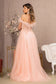 Embroidery Sheer Front Mesh A-line Dress w/ Feather Embellishment-6