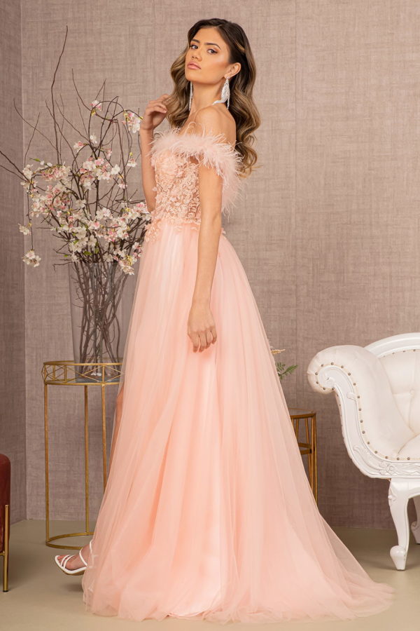 Embroidery Sheer Front Mesh A-line Dress w/ Feather Embellishment-7