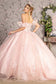 3-D Flower Illusion Sweetheart Sheer Bodice Mesh Ball Gown-1