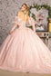 Glitter Embroidery Sheer Bodice Mesh Ball Gown w/ Long Puff Sleeves-1