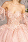 Glitter Embroidery Sheer Bodice Mesh Ball Gown w/ Long Puff Sleeves-4