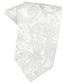 Paisley Silk Necktie-4